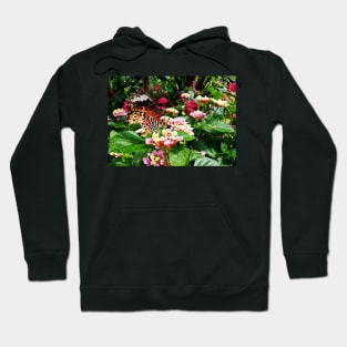Torn Common Lacewing Butterfly (Cethosa biblis) Hoodie